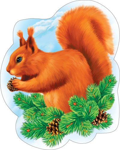 Картинка белочки для детского сада