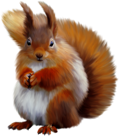 Лесные звери на прозрачном фоне