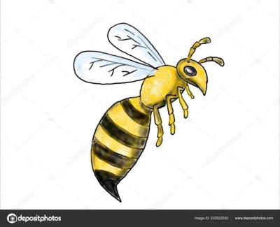 Пчела на белом фоне для детей