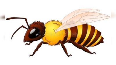 Оса на белом фоне для детей