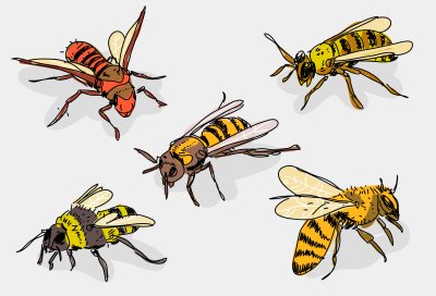 Оса рисунок для детей