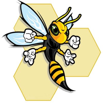 Хорнет пчела