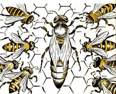 Пчела в графике