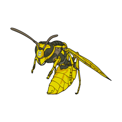 Шершень и пчела