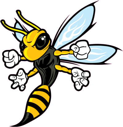 Шершень рисунок