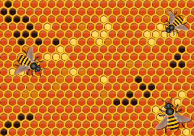 Соты пчелиные фон