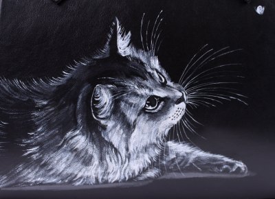 Картина на черном фоне белыми красками