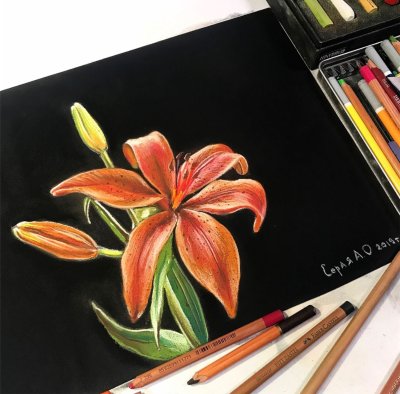 Лилии масляной пастелью