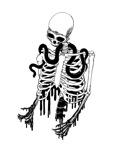Скелет на белом фоне