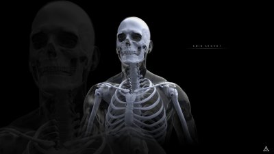 Рентгеновские снимки скелета