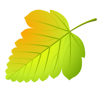 Листья деревьев