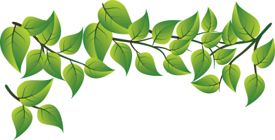 Зеленая веточка