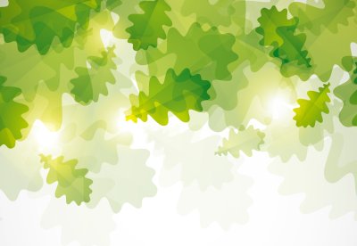 Фон для презентации листья
