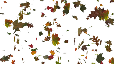 Падающие листья на прозрачном фоне