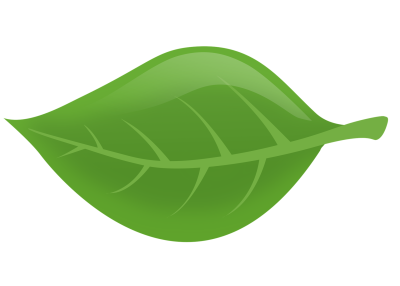 Зеленый листик