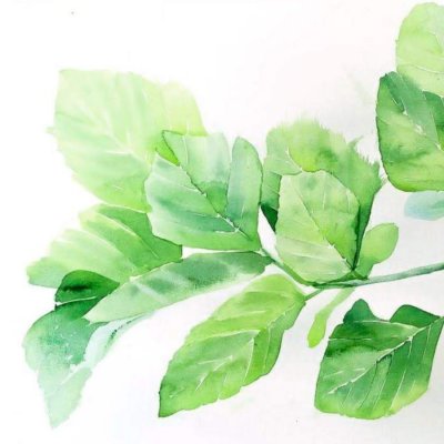 Листья акварель