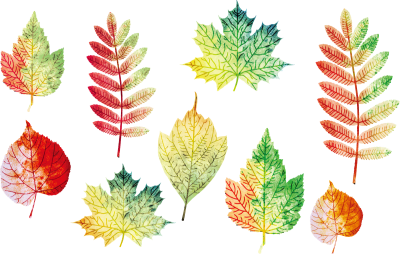Цветные листочки
