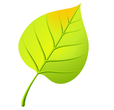 Листья деревьев