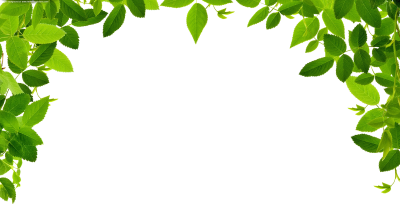 Рамка зелень