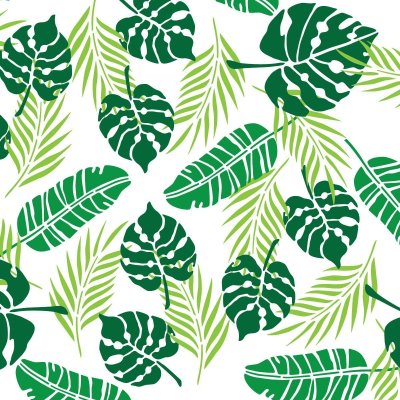 Cercom тропические листья