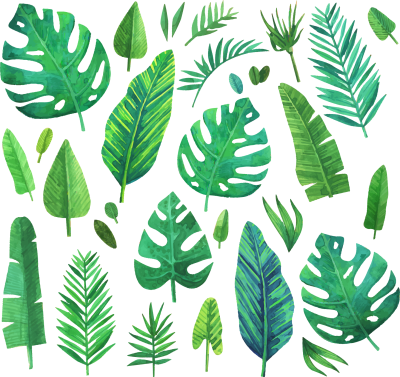 Листья тропических растений