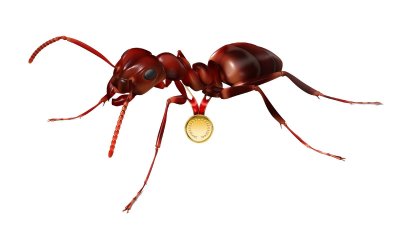 Букашка на белом фоне