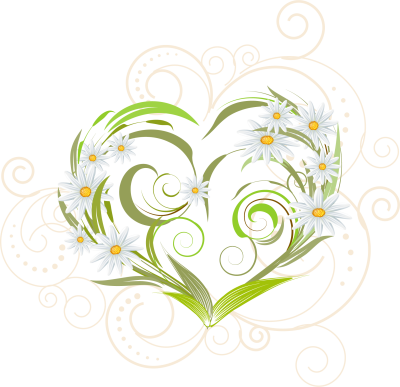 Орнамент ромашки