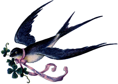 Калдиргоч куш