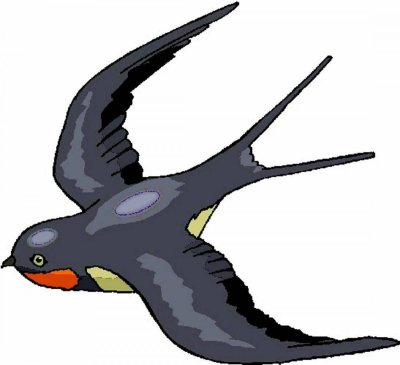 Ласточка на прозрачном фоне