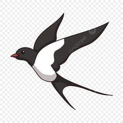 Ласточка на прозрачном фоне
