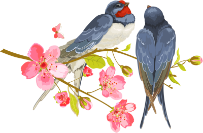 Красивые птицы на прозрачном фоне