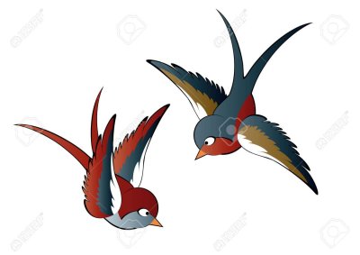 Ласточка картинка для детей