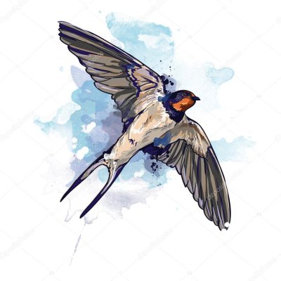 Живопись ласточки в полете