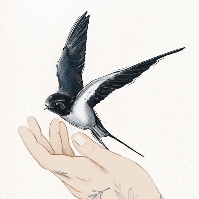 Рисунок ласточки в полете