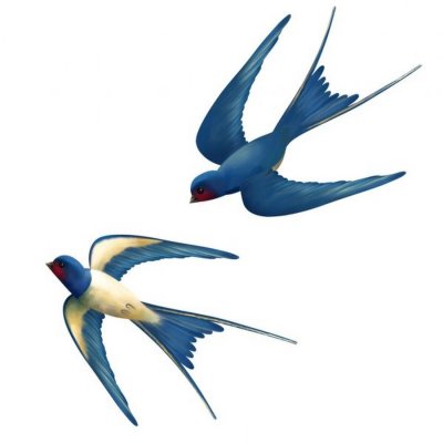 Ласточка картинка для детей на прозрачном фоне