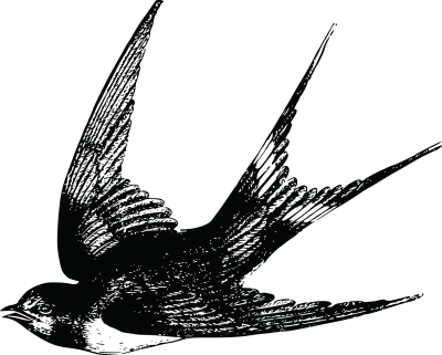 Ласточка рисунок