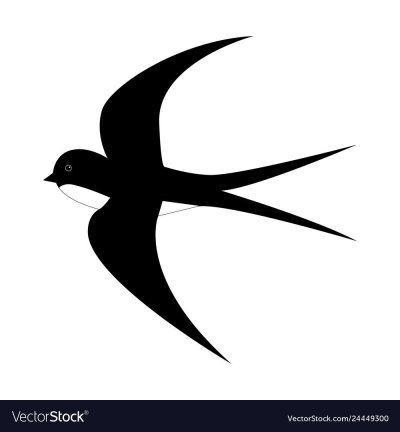 Ласточка на прозрачном фоне
