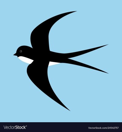 Трафарет ласточки