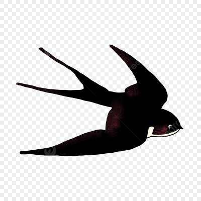 Ласточка мультяшная