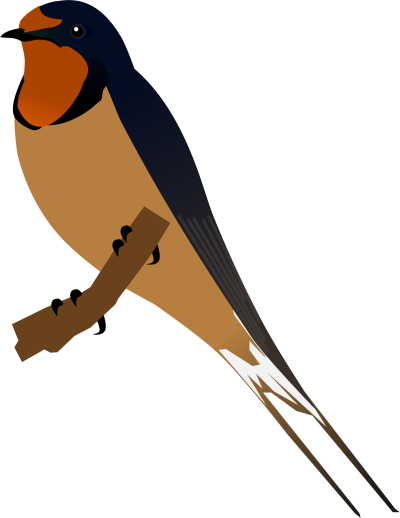 Ласточка вектор