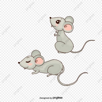 Две мыши на прозрачном фоне