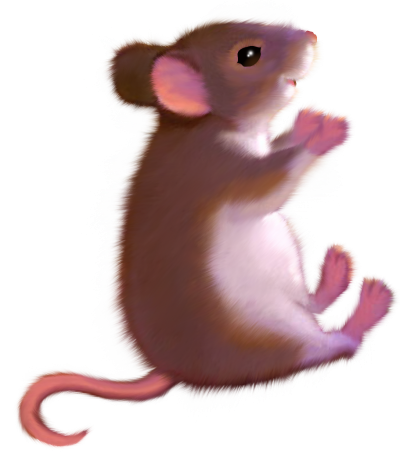 Мышка картинка для детей