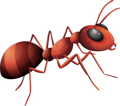 Муравей для детей