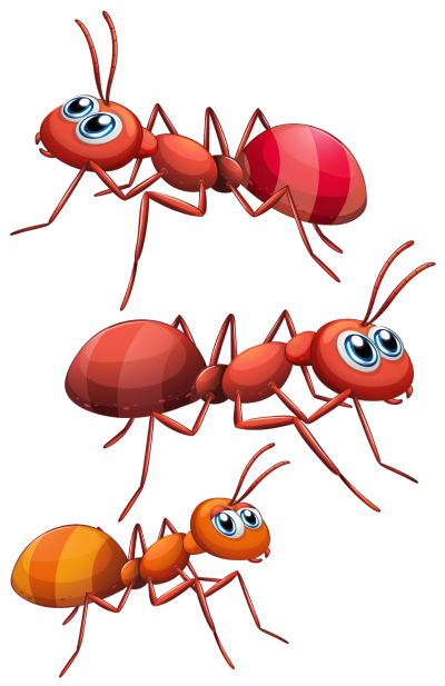 Муравей мультяшный