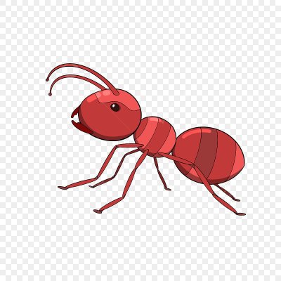 Красные муравьи