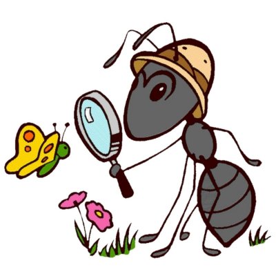 Муравьишка вопросик и мудрая черепаха