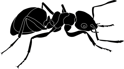 Муравей силуэт