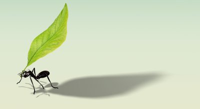 Муравей на листочке