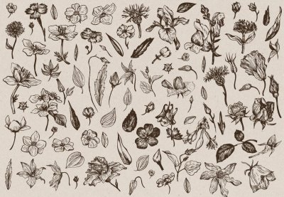 Красивый принт на бумаге