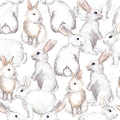 Кролик на белом фоне